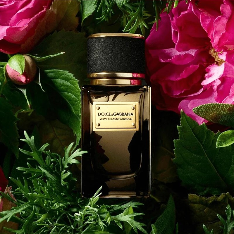 DOLCE & GABBANA Velvet Black Patchouli EDP 150ml 3