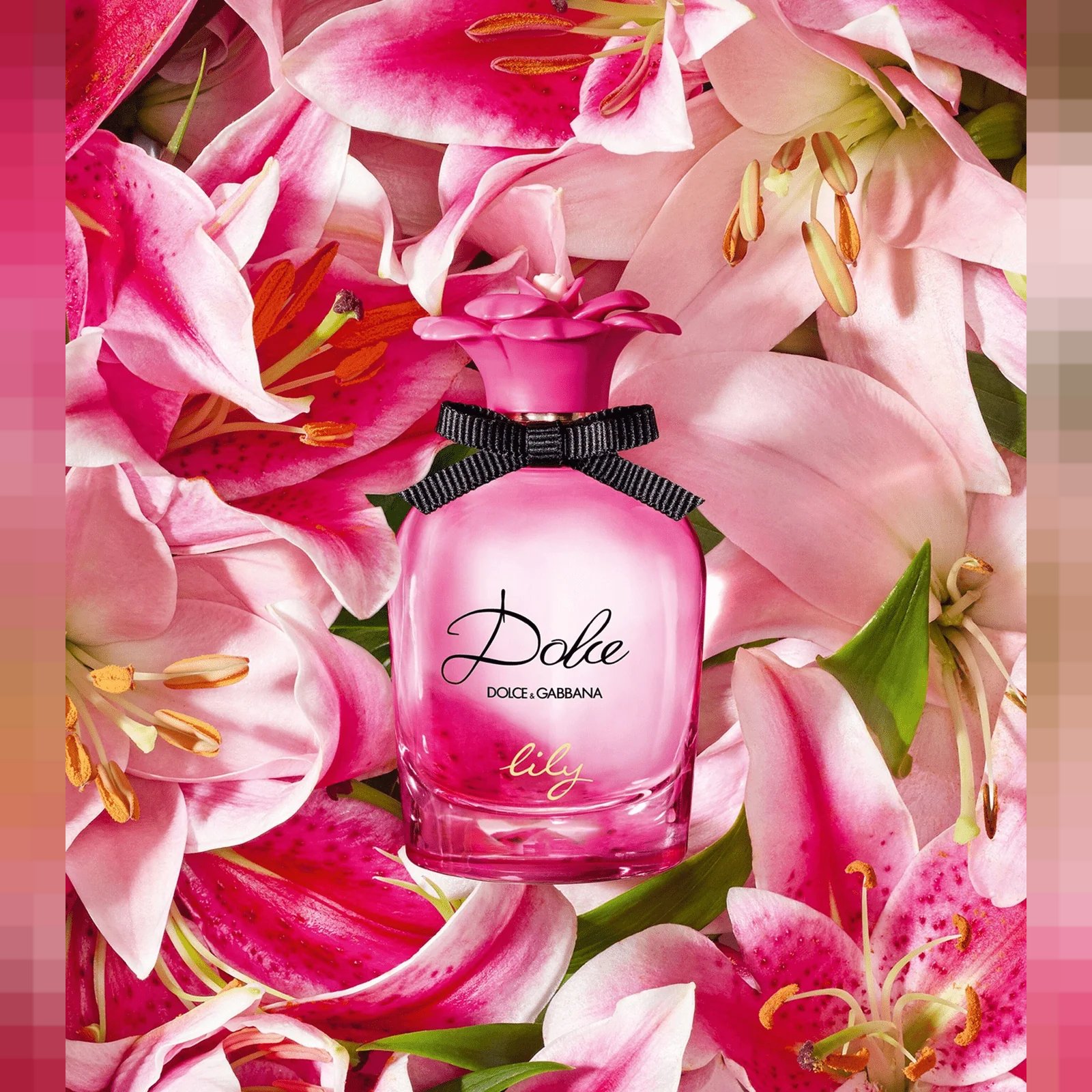 DOLCE & GABBANA Dolce Lily EDT 75 ml 3