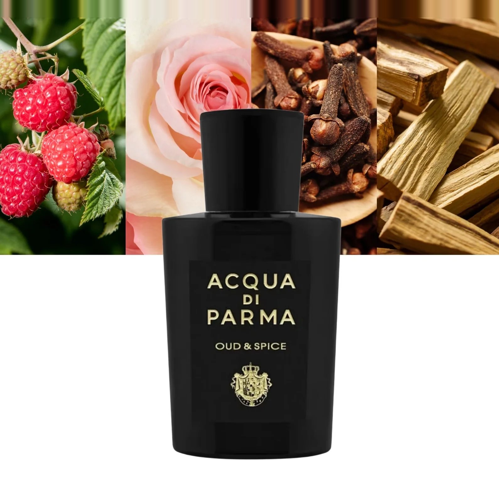 Acqua di Parma Oud & Spice EDP 180 ml 3