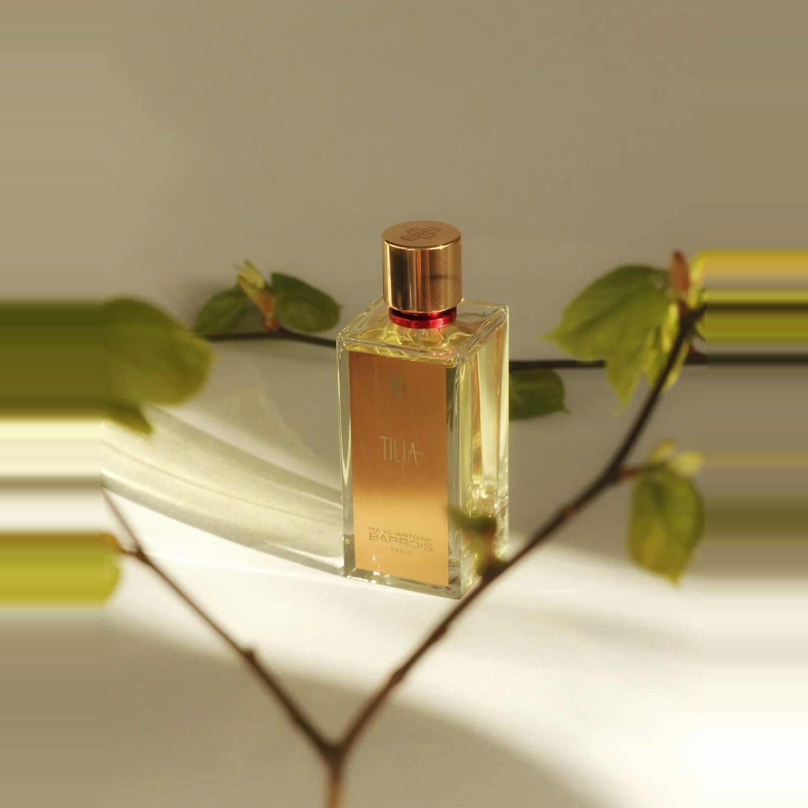 Marc-Antoine Barrois Tilia EDP 100 ML 3