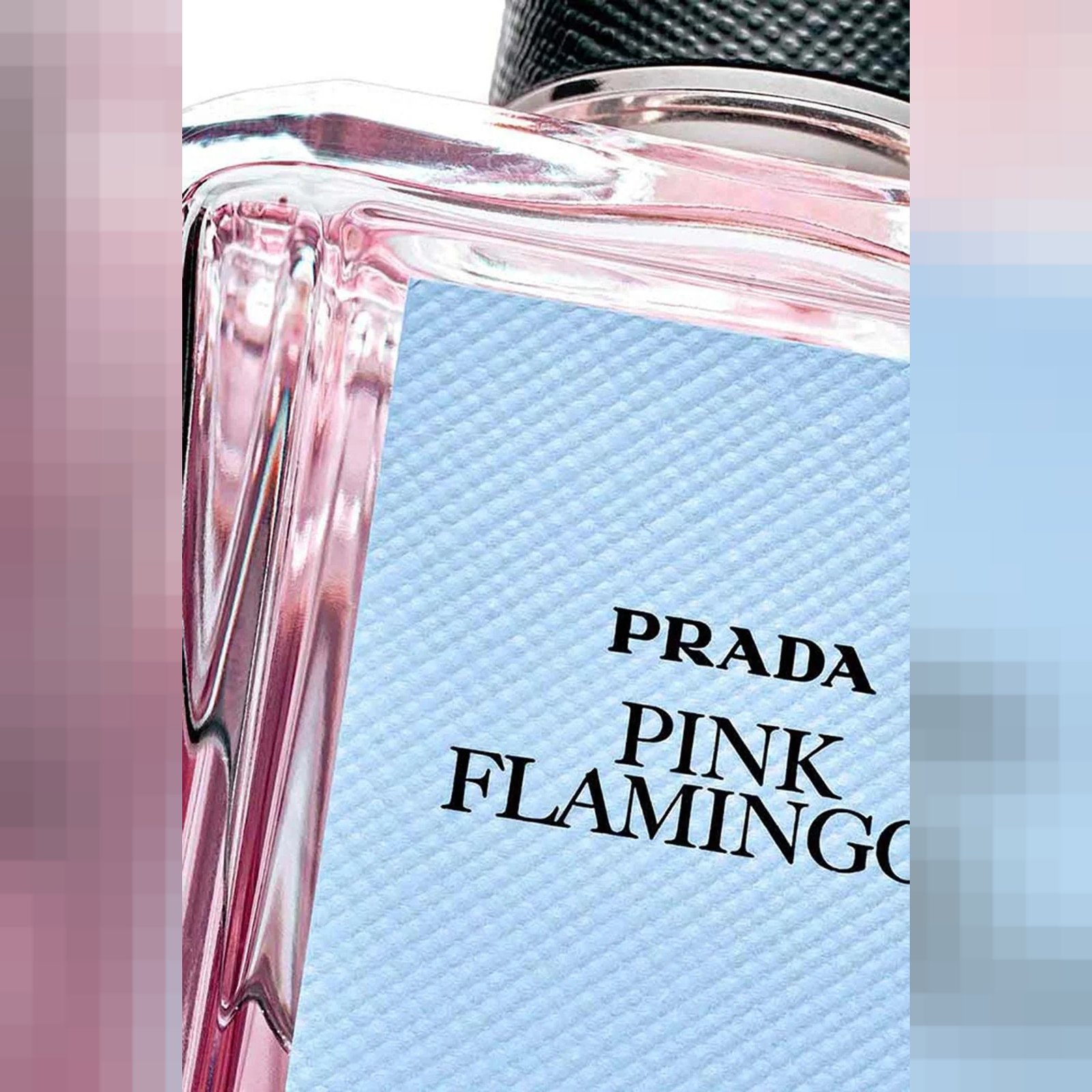 Prada Olfactories Pink Flamingos EDP 100ml 3