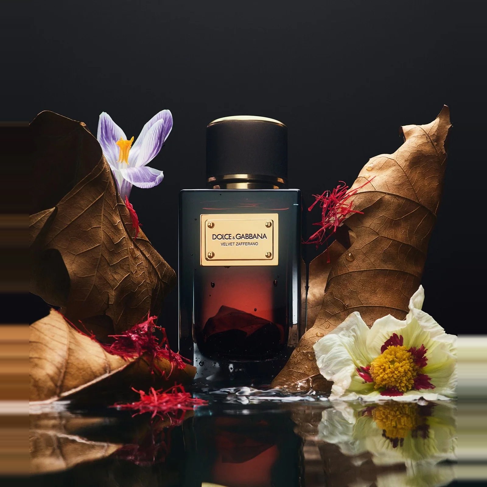 Dolce & Gabbana Velvet Zafferano EDP 100ml 3