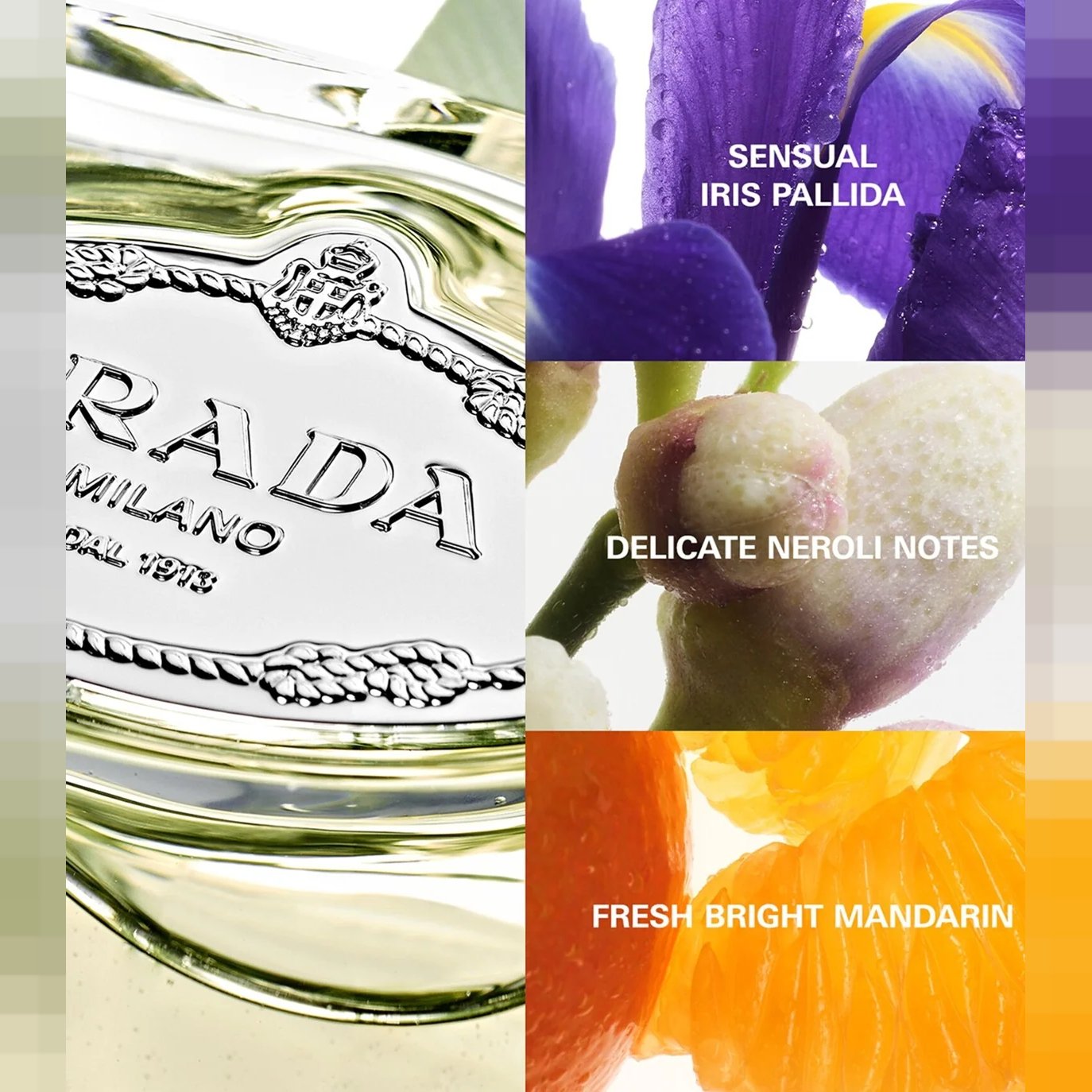 Prada Infusion d'Iris EDP 100ml 3