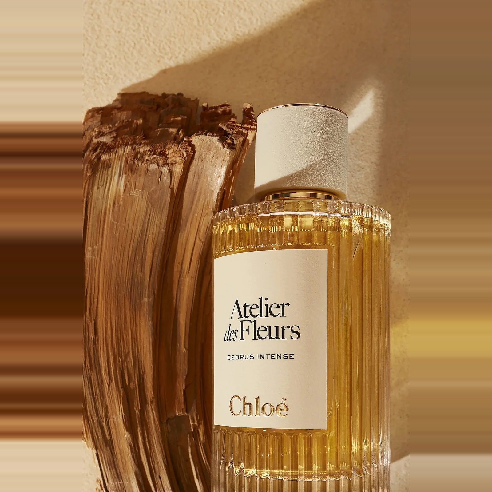 Chloe Atelier Des Fleurs Cedrus EDP 150ML 3