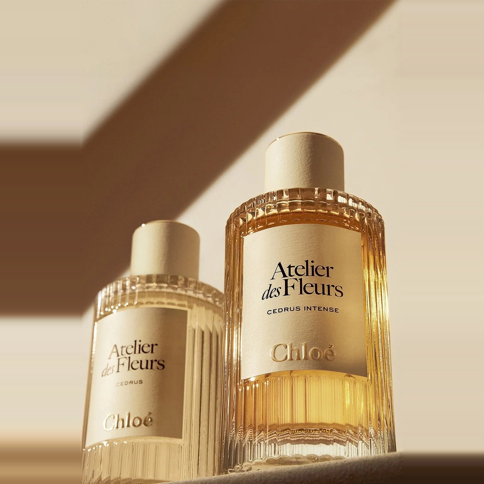 Chloe Atelier Des Fleurs Cedrus Intense EDP 150ML 3