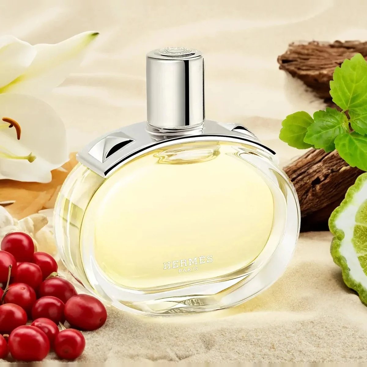 Hermes Barenia Fetes en Hermes Edition EDP 100ml 3