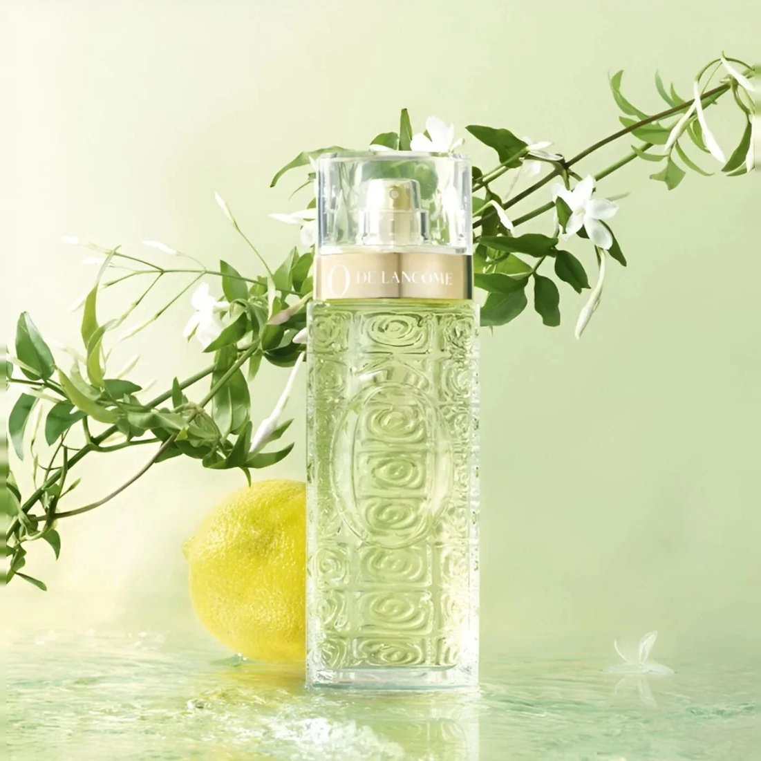 Lancome Ô de Lancôme EDT 75ml 3