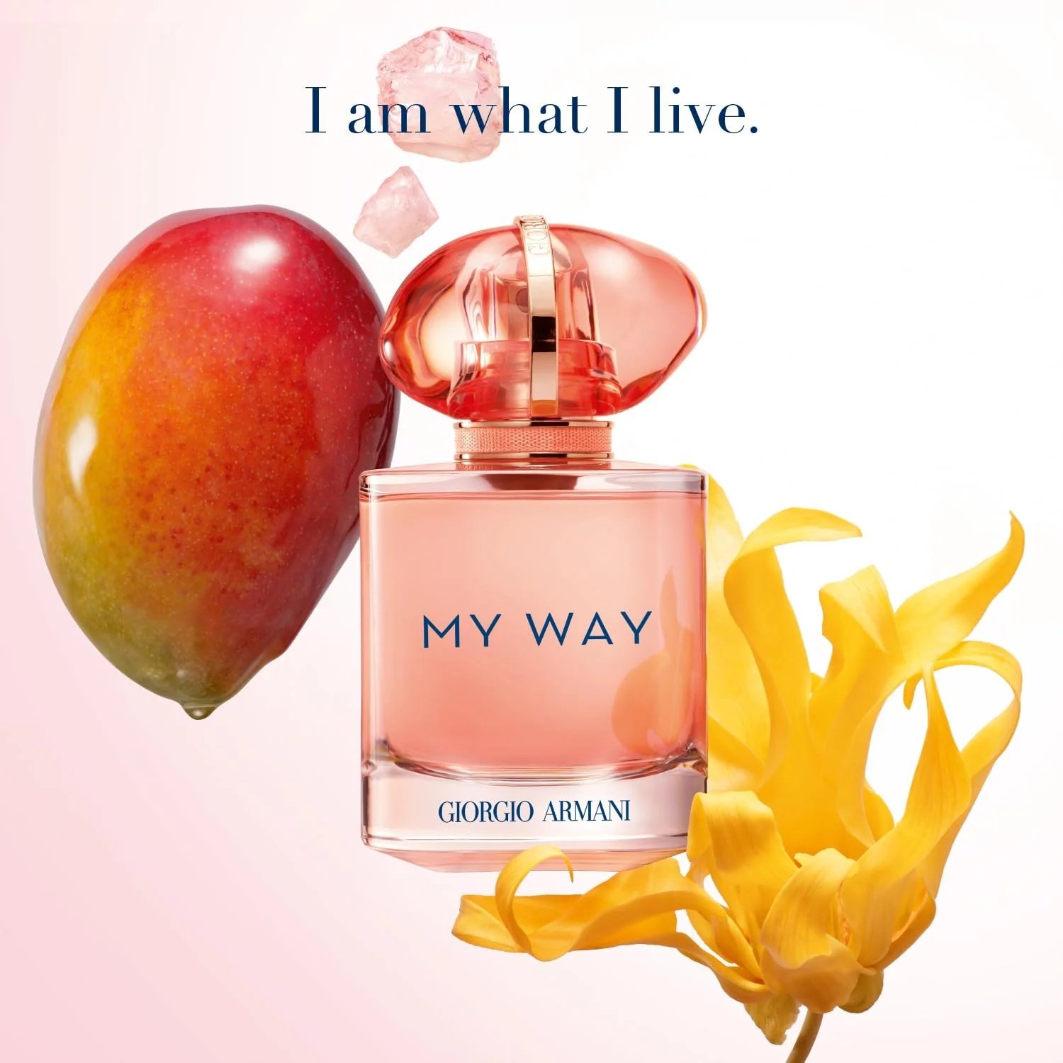Giorgio Armani My Way Ylang EDP 90ml 3