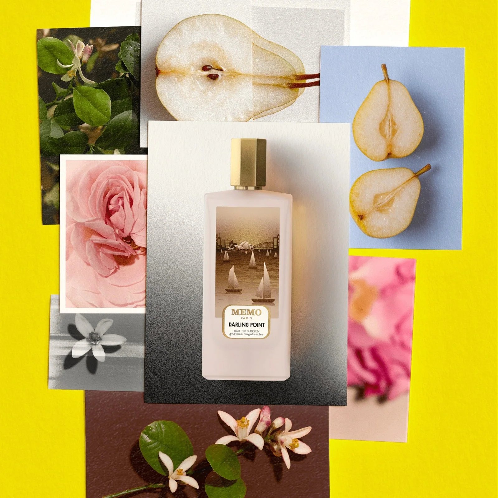 Memo Darling Point Edp 75 ml 3