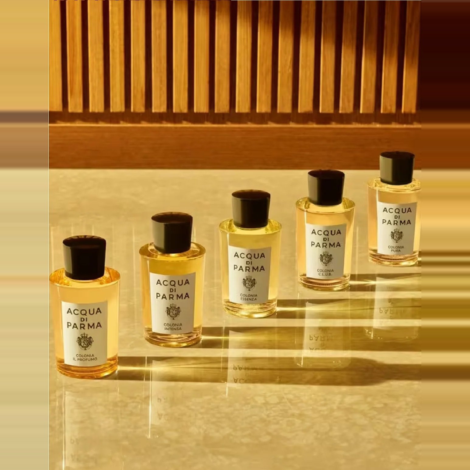 Acqua Di Parma Colonia Intensa EDC 100ml 3
