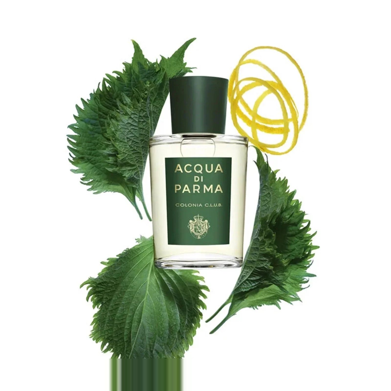Acqua Di Parma Colonia C.L.U.B EDC 100ml 3