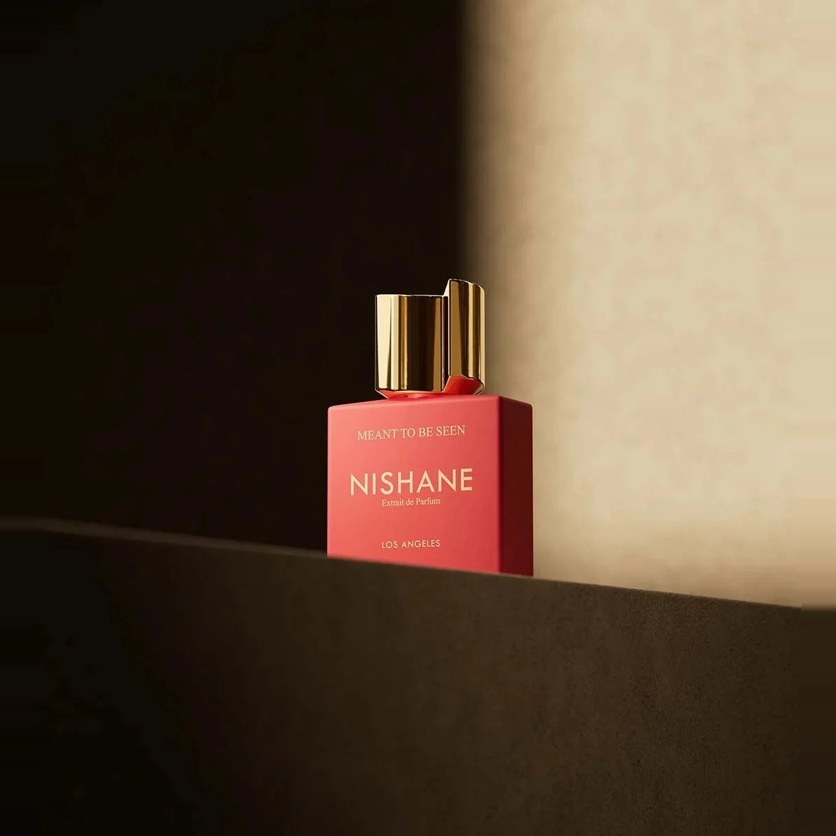 Nishane Meant To Be Seen Extrait 100 ML 3