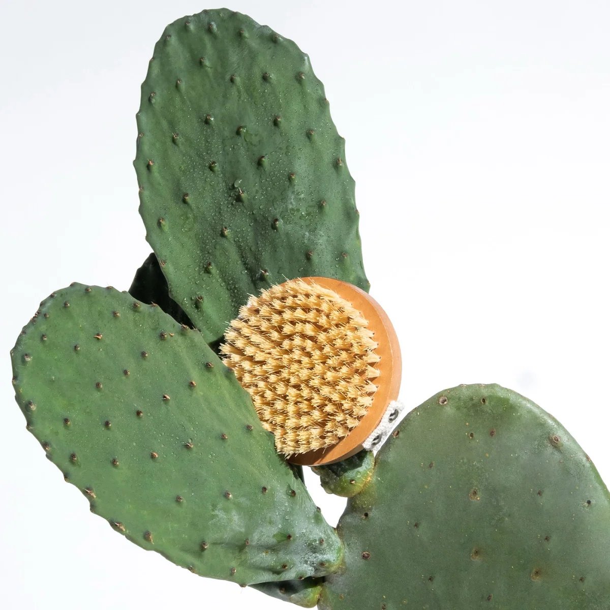Legology Lymph-Lite Boom Brush For Body 3