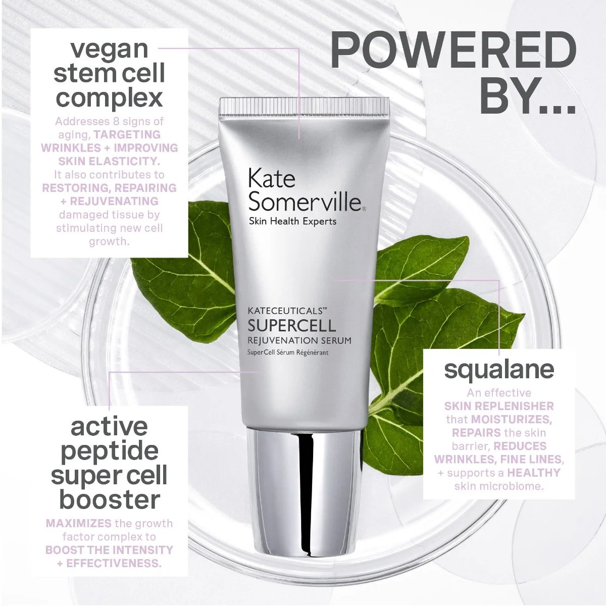 Kate Somerville Kateceuticals Supercell Rejuvenation Serum 6