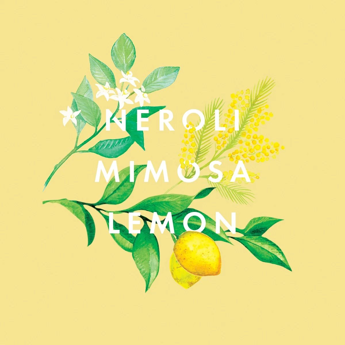 Neom Happiness Essential Oil Blend 30ml 3