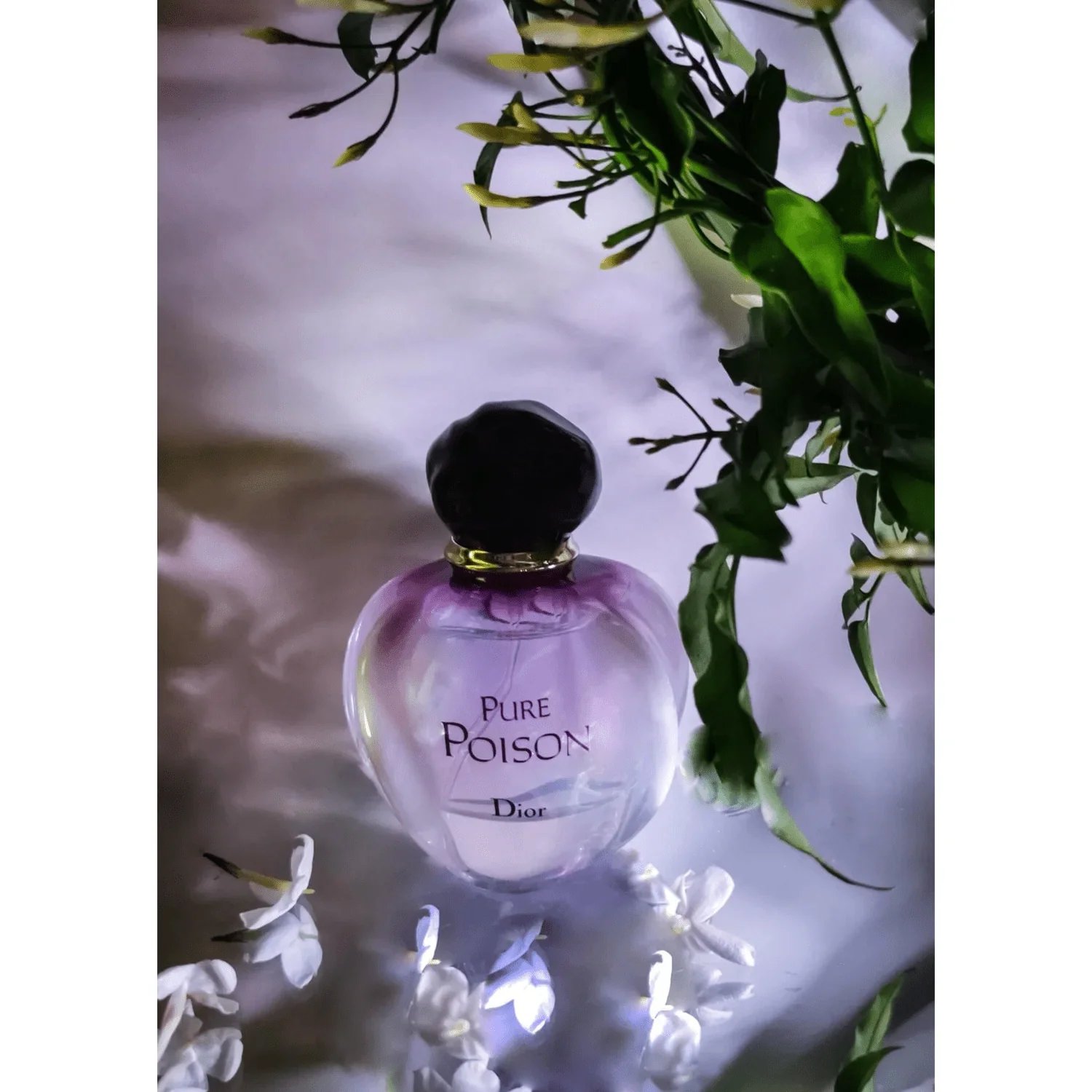 Dior Pure Poison EDP 100ml 3