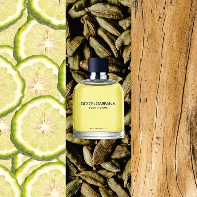 DOLCE & GABBANA Pour Homme EDT 3