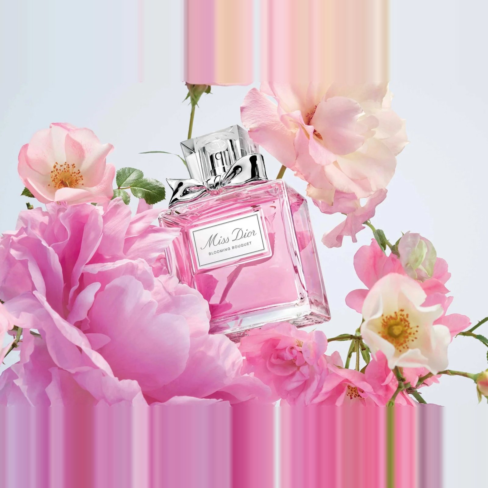 Dior Miss Dior Blooming Bouquet EDT 100ml 3