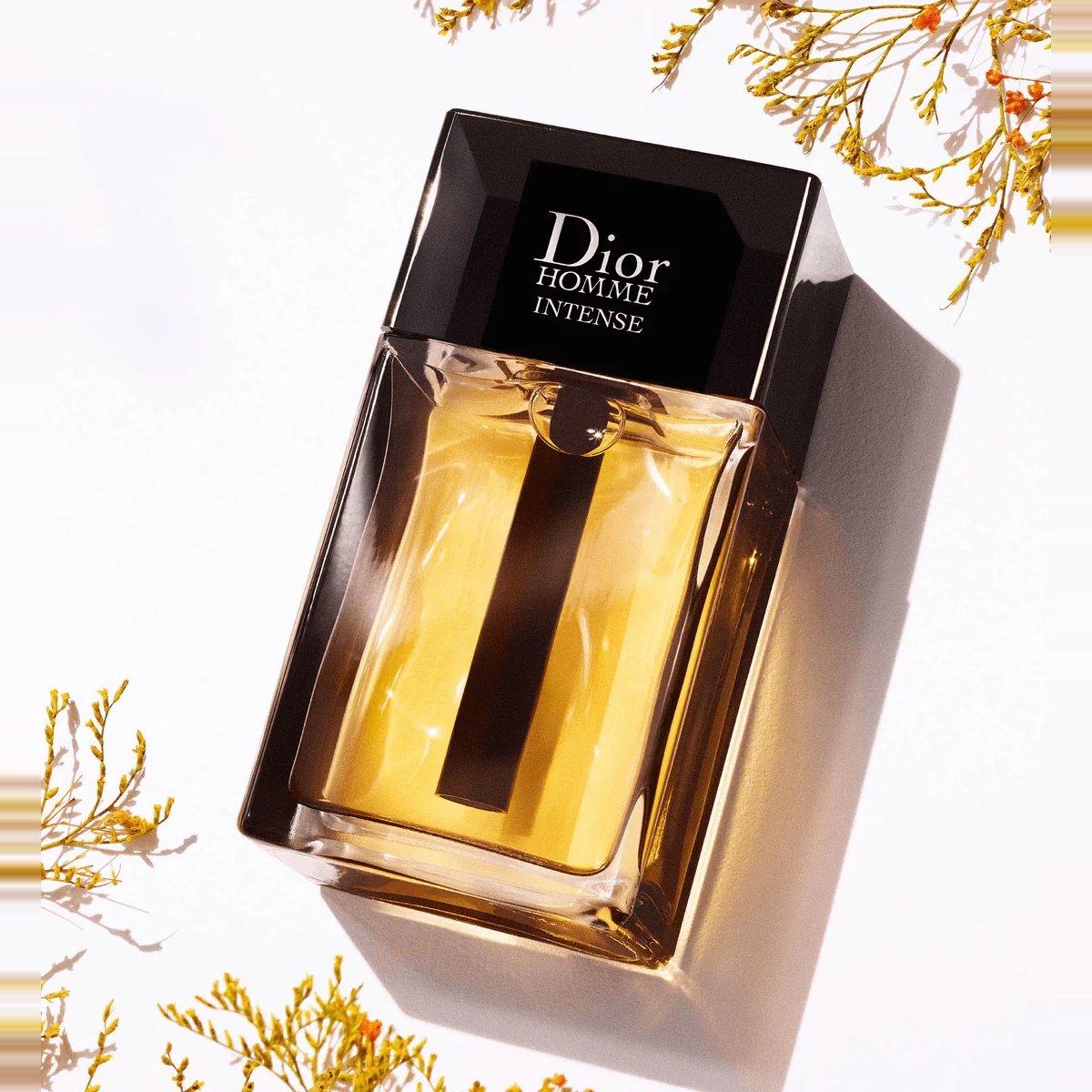 Dior Homme Intense EDP 100ml 3