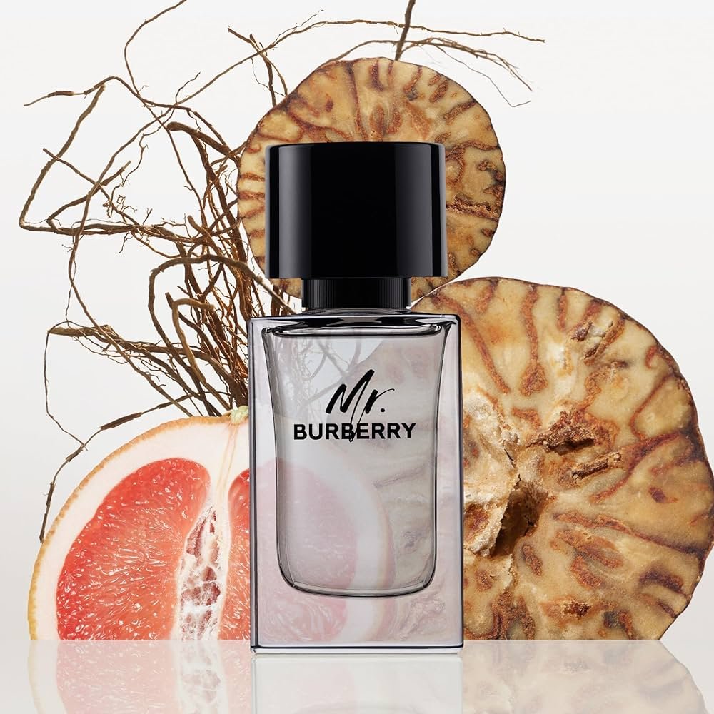 Burberry Mr Burberry EDT 100ml 3