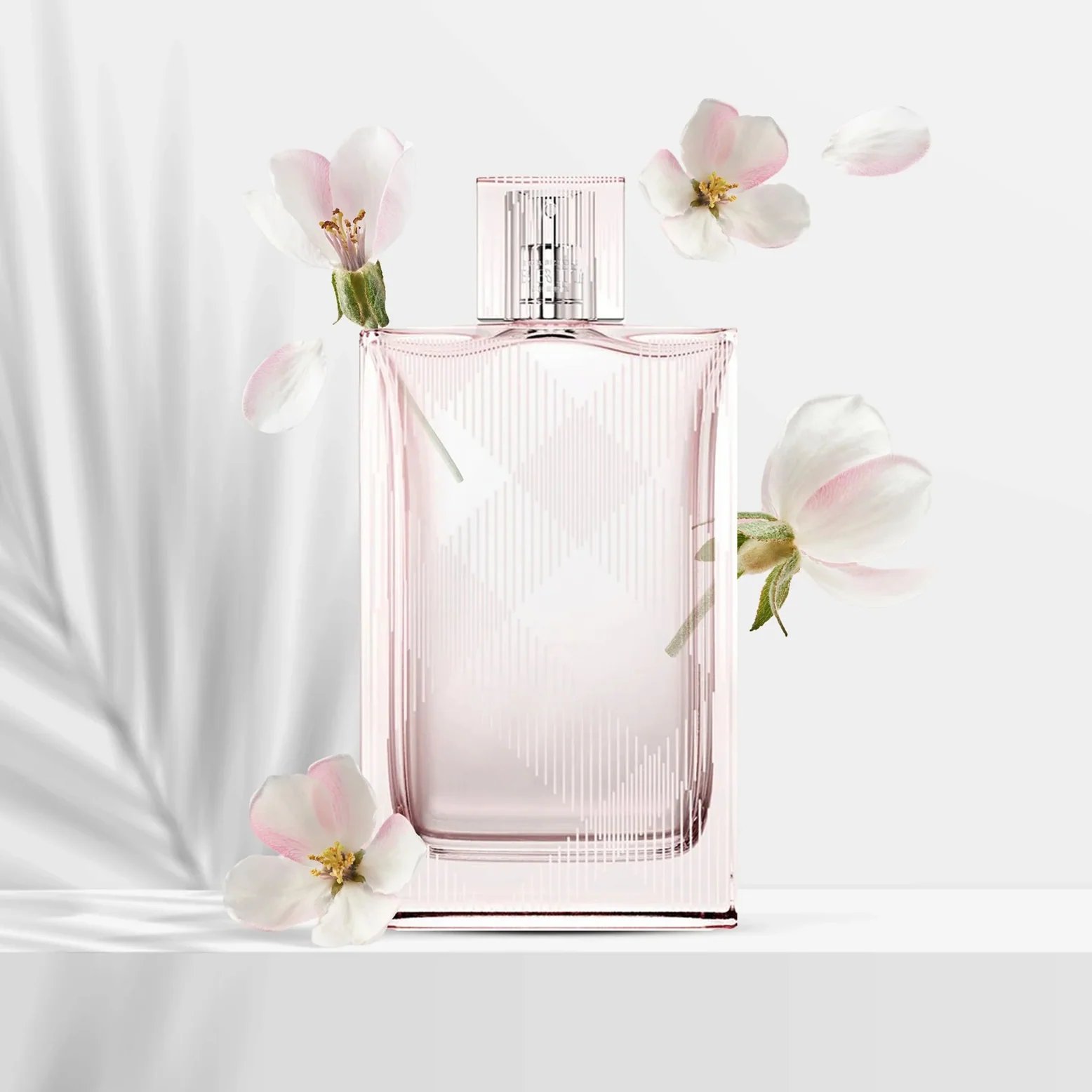 Burberry Brit Sheer For Her EDT 100ml 3