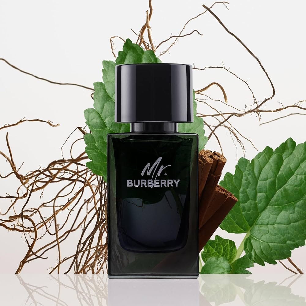 Burberry Mr Burberry EDP 100ml 4