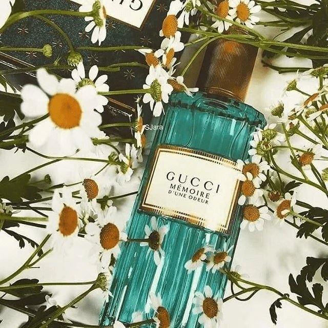Gucci Memoire D'Une Odeur EDP 100ml 2