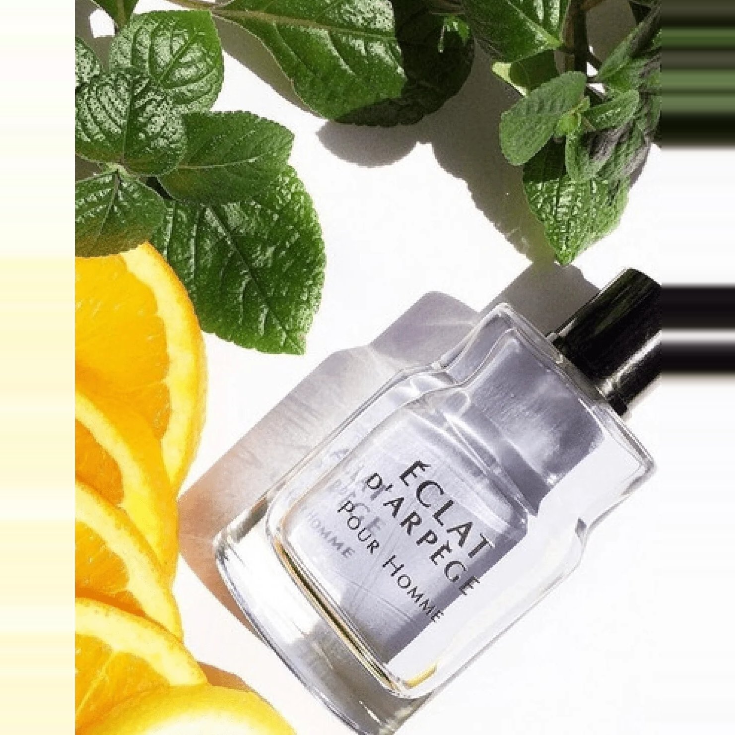 Lanvin Eclat D'Arpege (M) Edt 100ml 3