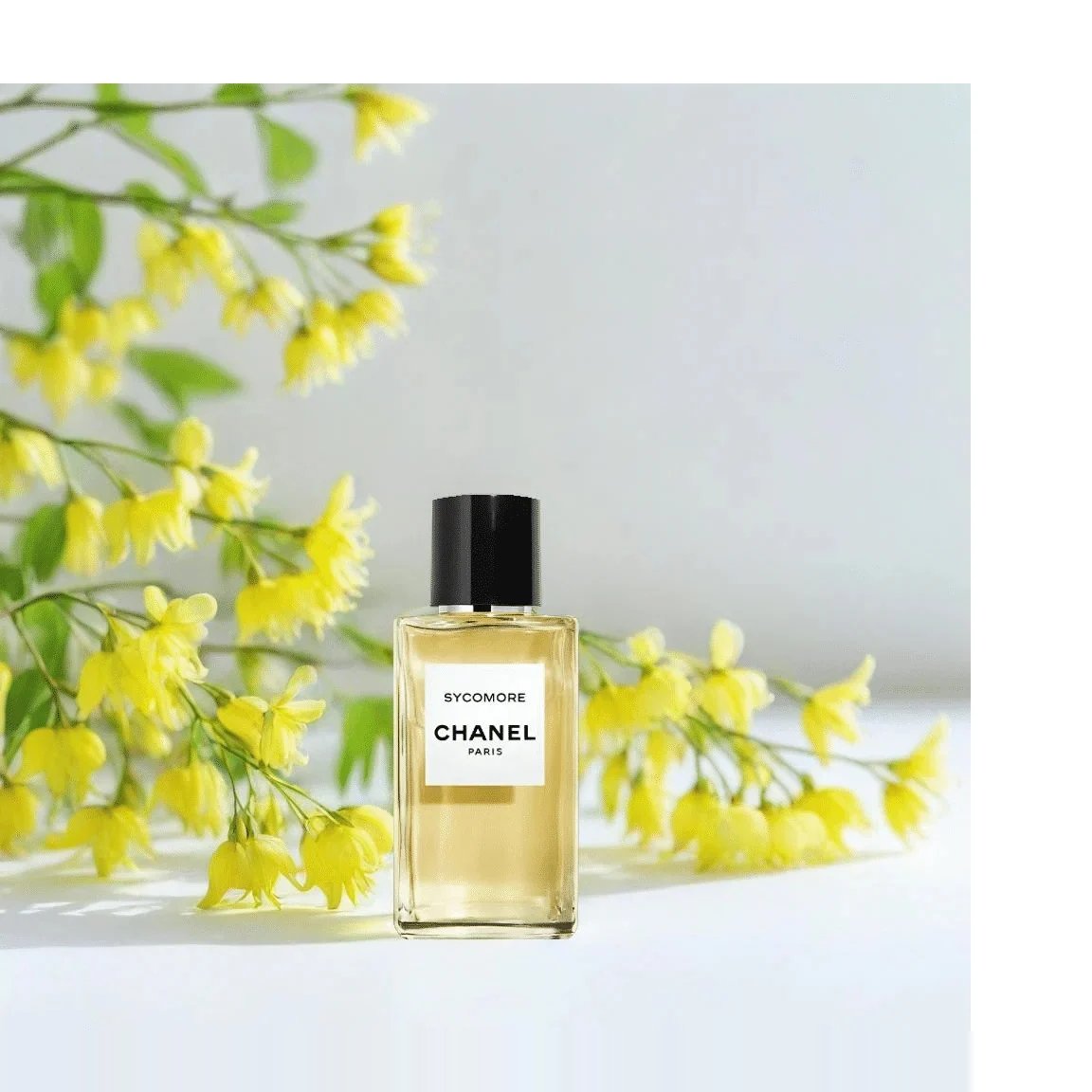 Les Exclusifs De Chanel Sycomore EDP 75ml 3