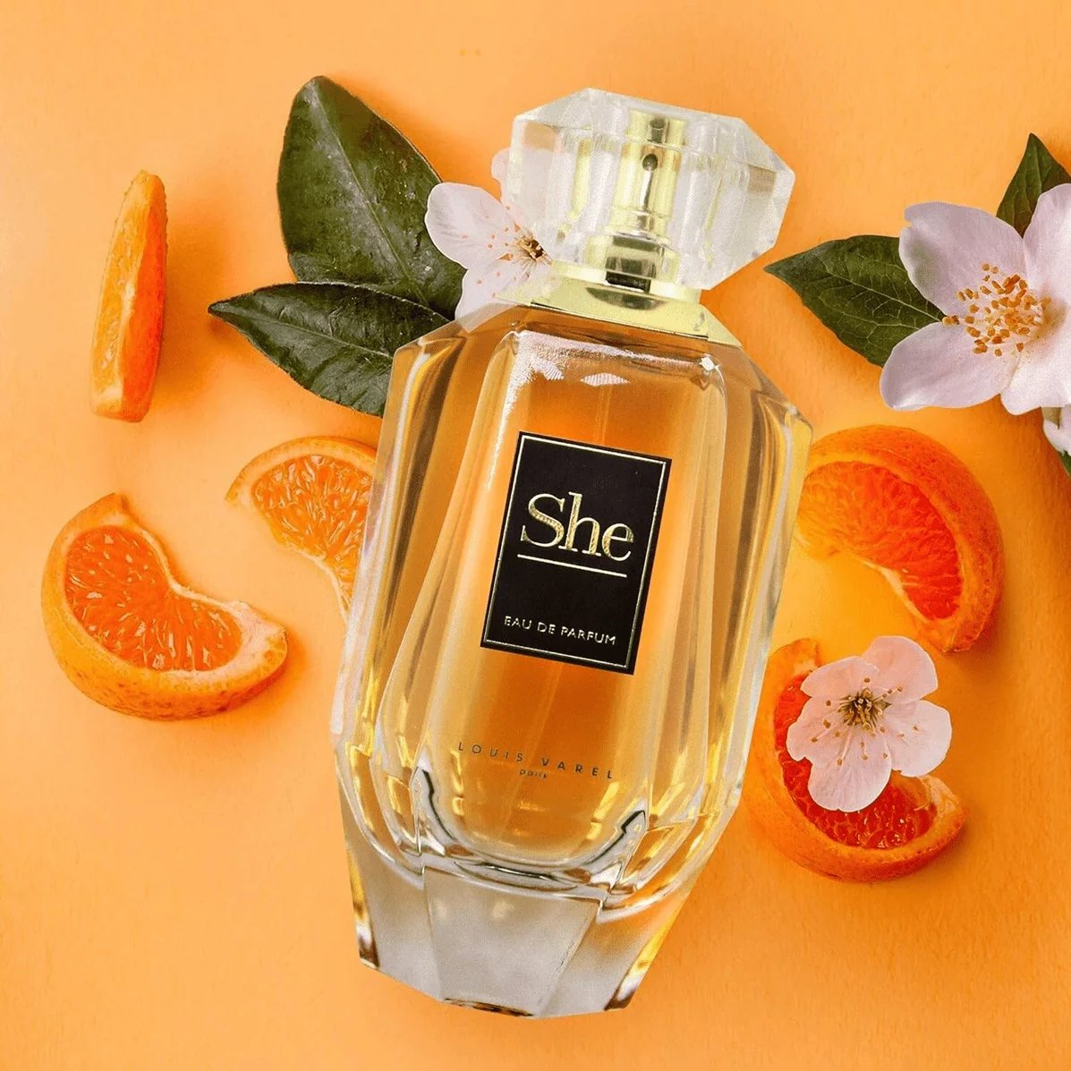 Louis Varel She EDP 100ml 3