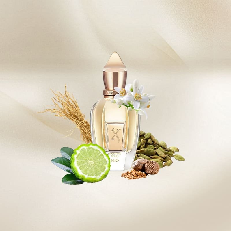 Xerjoff Nio - Shooting Stars 50 ml 3