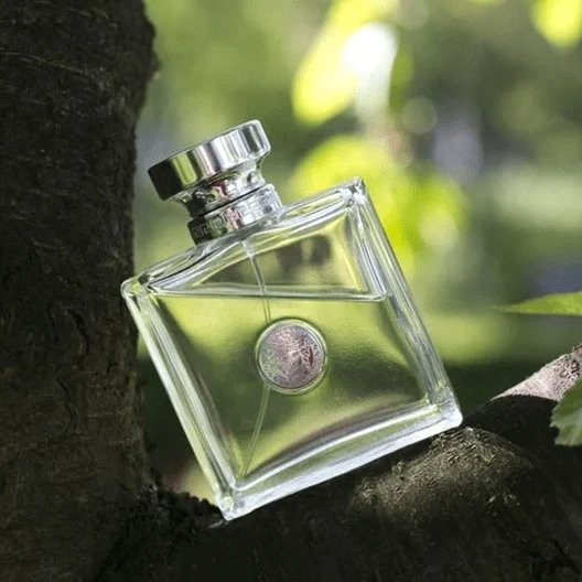 Versace Versence EDT 100ML 3