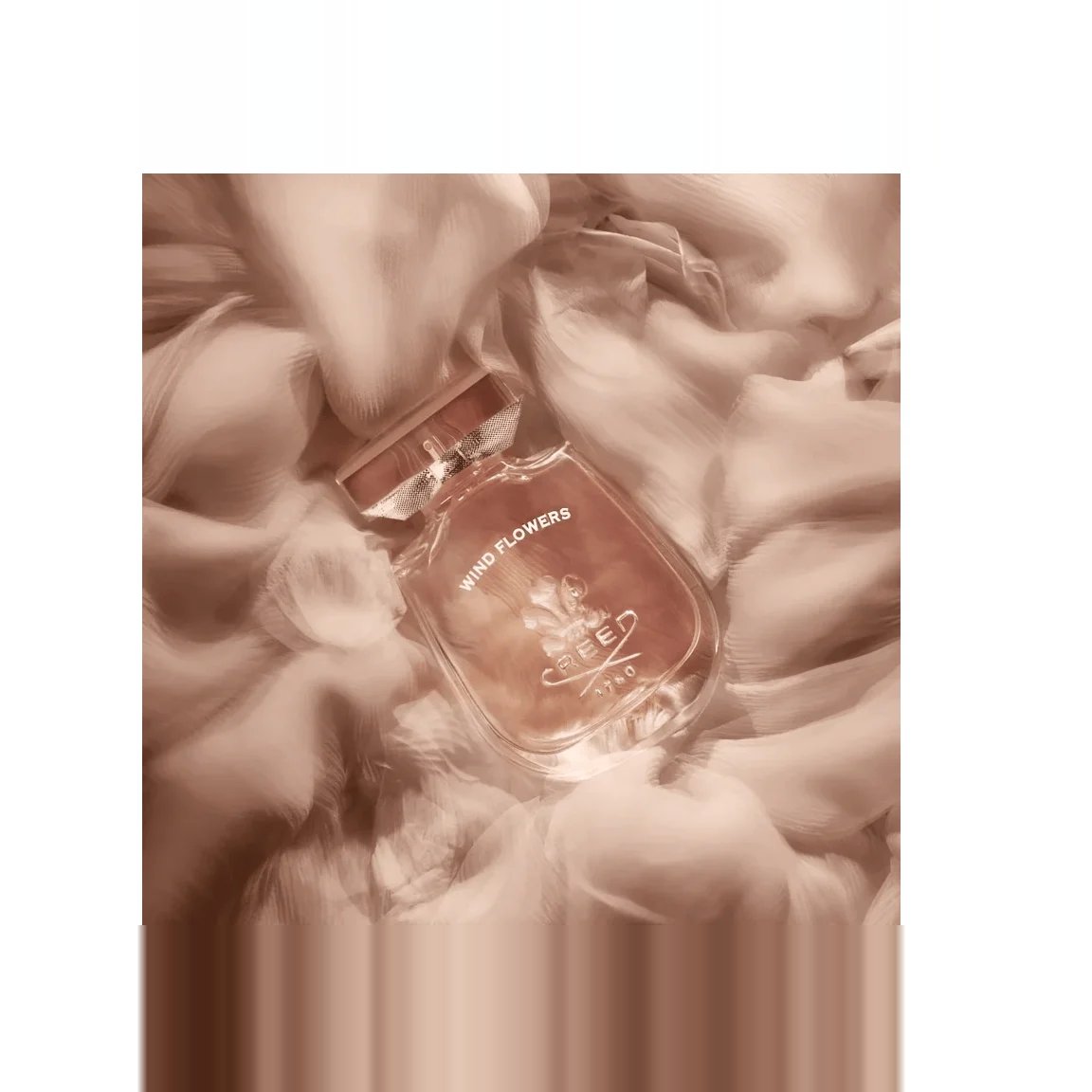 Creed Wind Flowers EDP 75ml 3