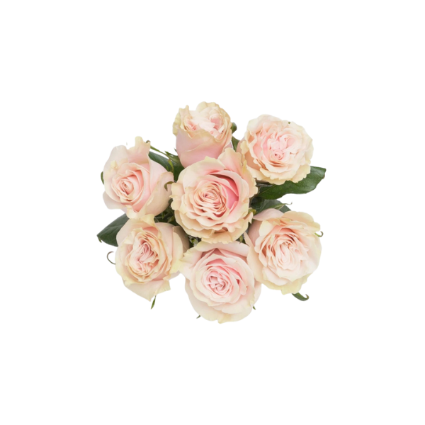 Blush Charm – Pink Rose Bouquet 2