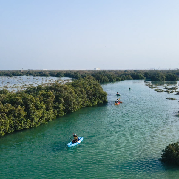 Sunset Electric Dragon Boat Experience – Mangrove Park (60 Minutes) - Child Ticket 2