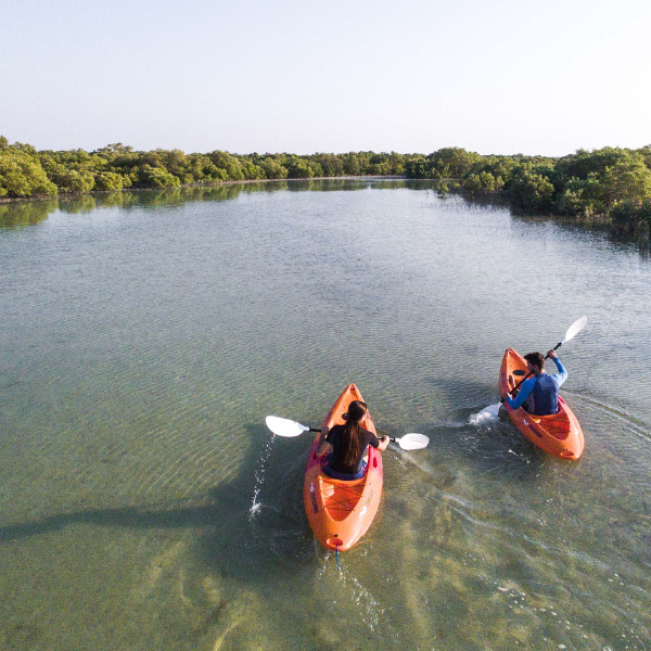 Sunset Electric Dragon Boat Experience – Mangrove Park (60 Minutes) - Child Ticket 4