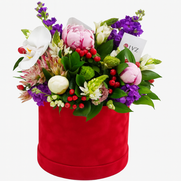 RDVVB-0045 – Elegant Peony & Orchid Velvet Red Box Arrangement