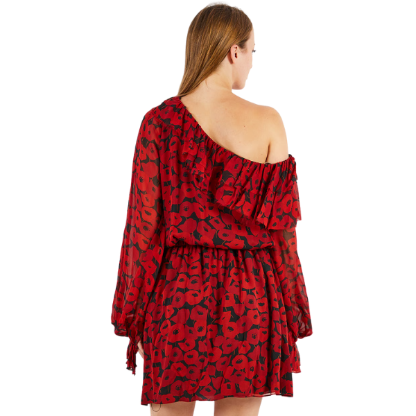 Women Poppy Print Long Sleeve Mini Dress, Red 3