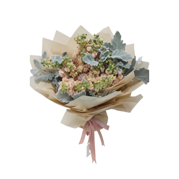 HB-0020 – Blush Pastel Stock & Silver Leaf Bouquet