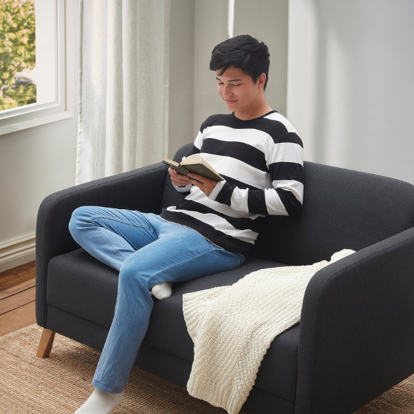 LINANÄS Loveseat - Vissle dark gray 6