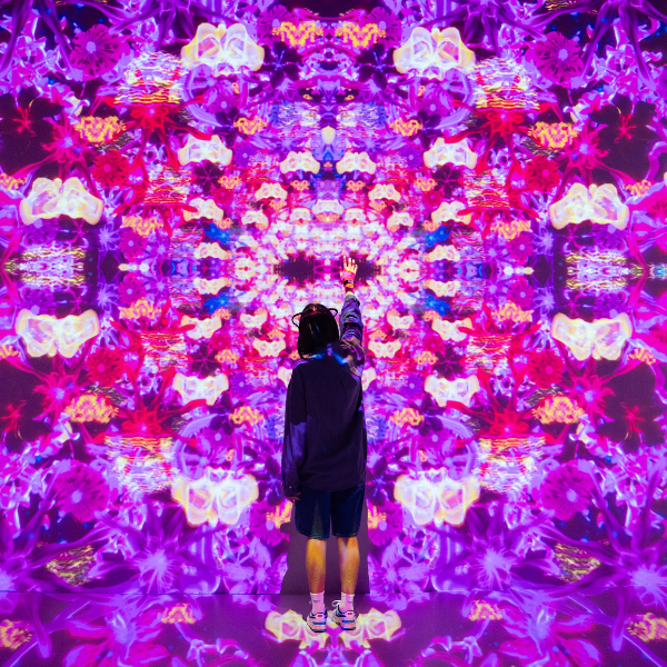 House of Hype Entry Experience 2