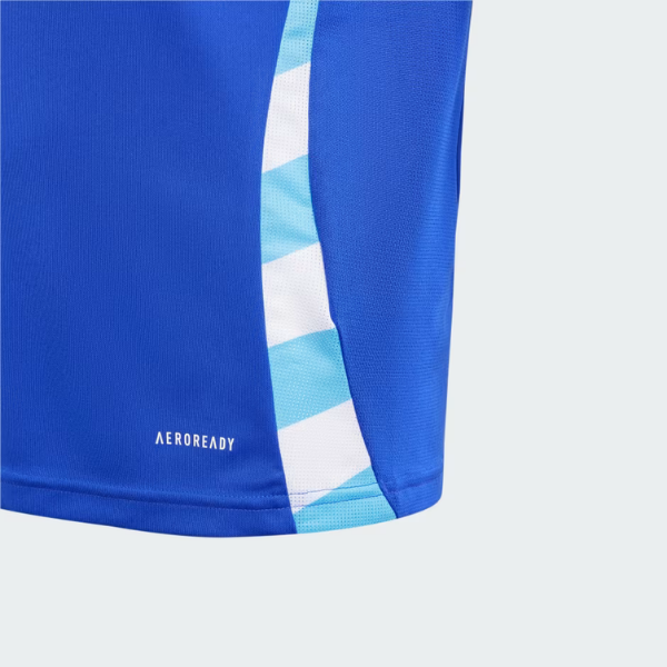 Argentina 24 Away Jersey Kids 3