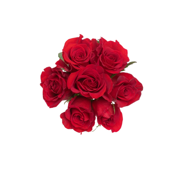 Classic Love – 6 Red Roses Bouquet 2