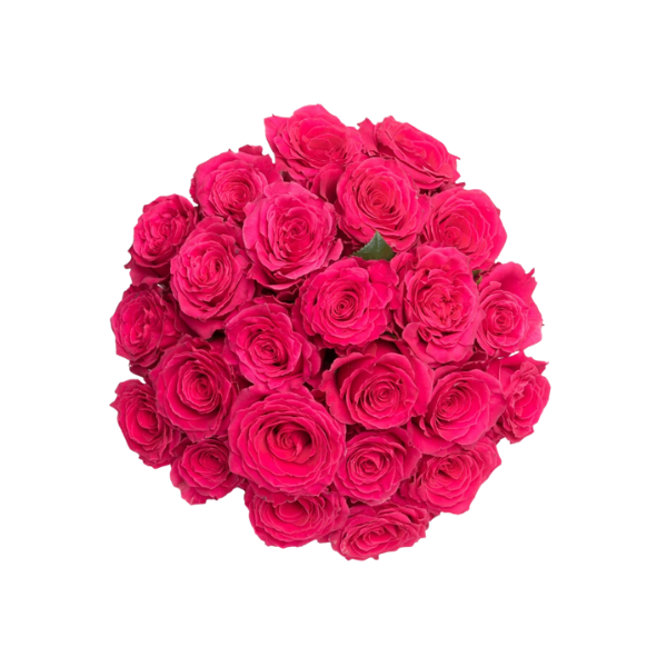 Radiant Passion – Hot Pink Rose Bouquet 2