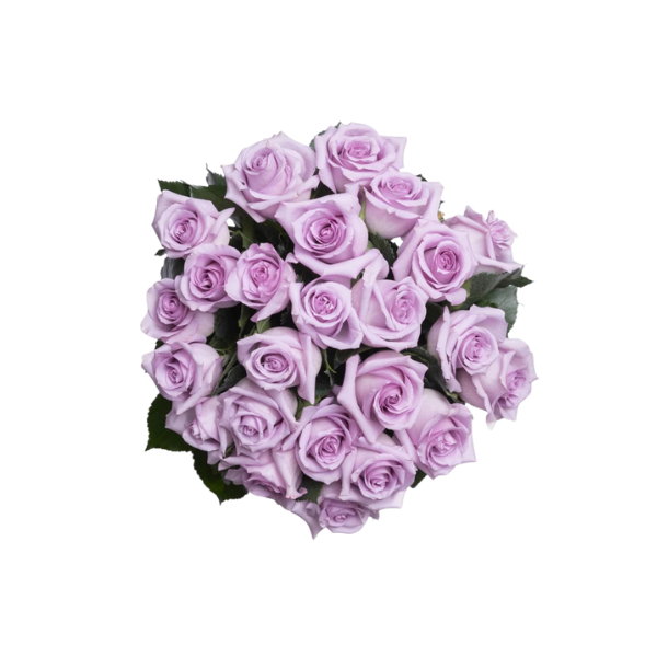 Lavender Whisper – 25 Roses Bouquet 2