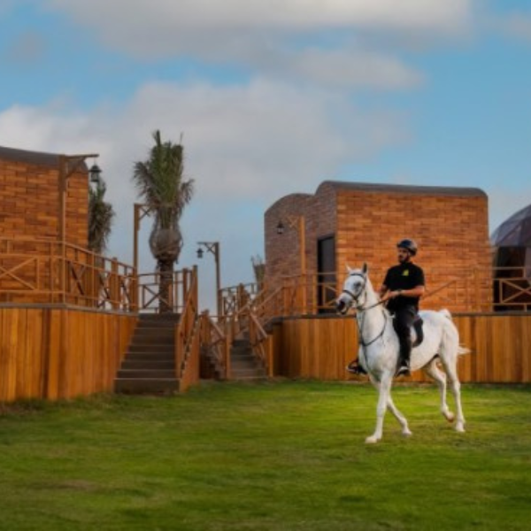 Luxury Glamping Experience @ Al Marmoom Domes - 2 Nights (2 adults and 1 child up to 14) 3