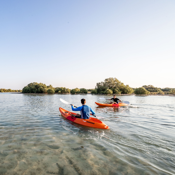 Sunset Electric Dragon Boat Experience – Mangrove Park (60 Minutes) - Adult Ticket 2