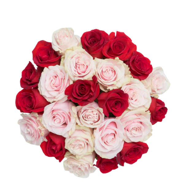 Eternal Romance – Red & Pink Roses Vase 2