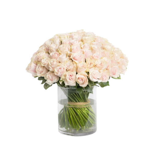 Pure Grace – 100 Pink & Ivory Roses Bouquet