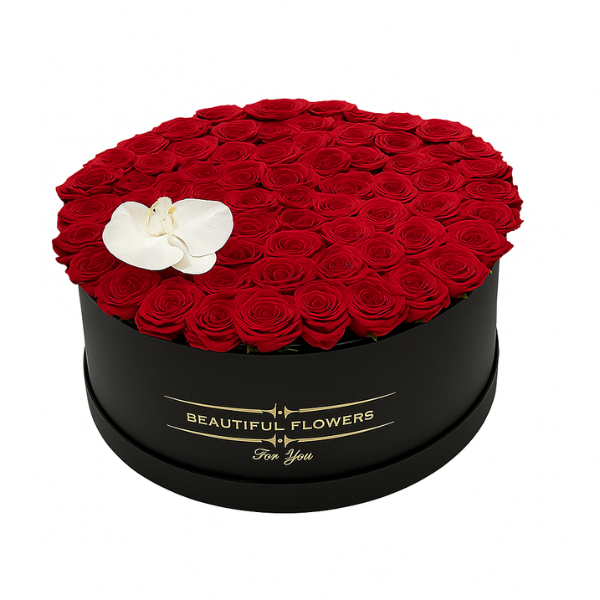 Royal Elegance Box – 150 Red Roses Edition